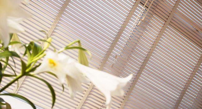 wooden blinds