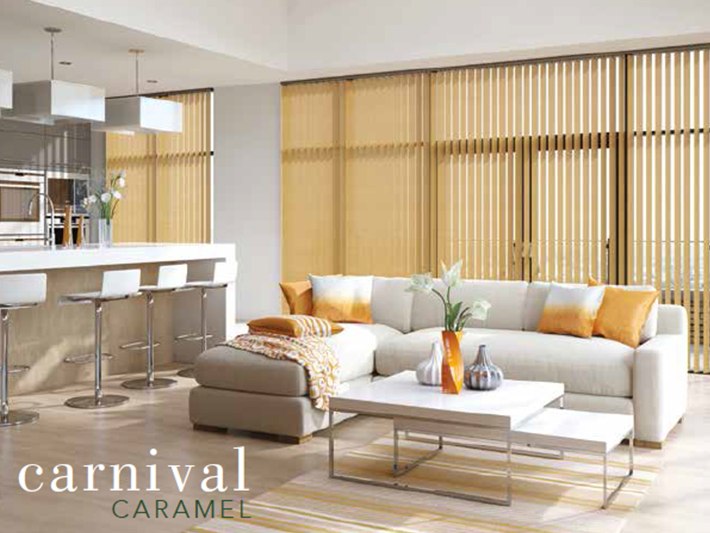 vertical blinds 22